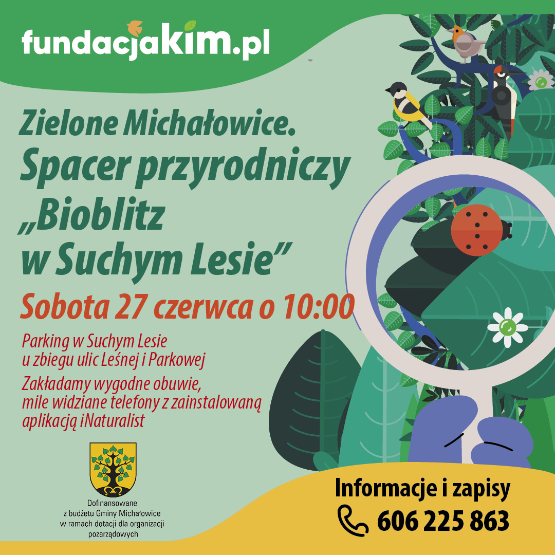 Grafika prezentuje treść komunikatu